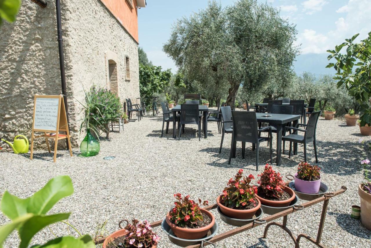 B&B Rifugio Tra Gli Ulivi Кампанья Экстерьер фото